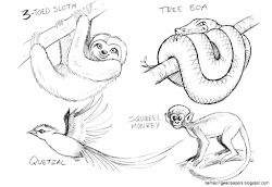 pencil animal drawings easy animals simple drawing cartoon sloth amazing wallpapers getdrawings