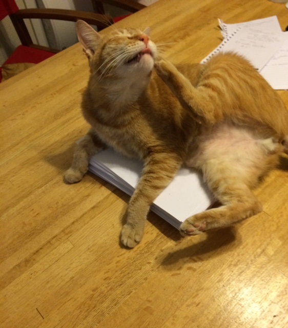 Obi Wan Kenobi Movie In The Works