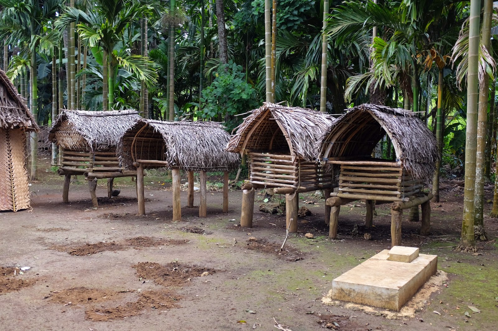 Papua New Guinea - Milne Bay Province