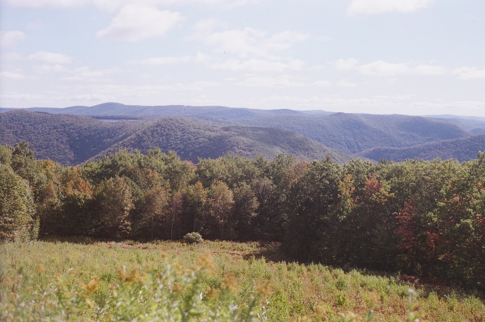 Anne Harris Berkshire Hills from Summit