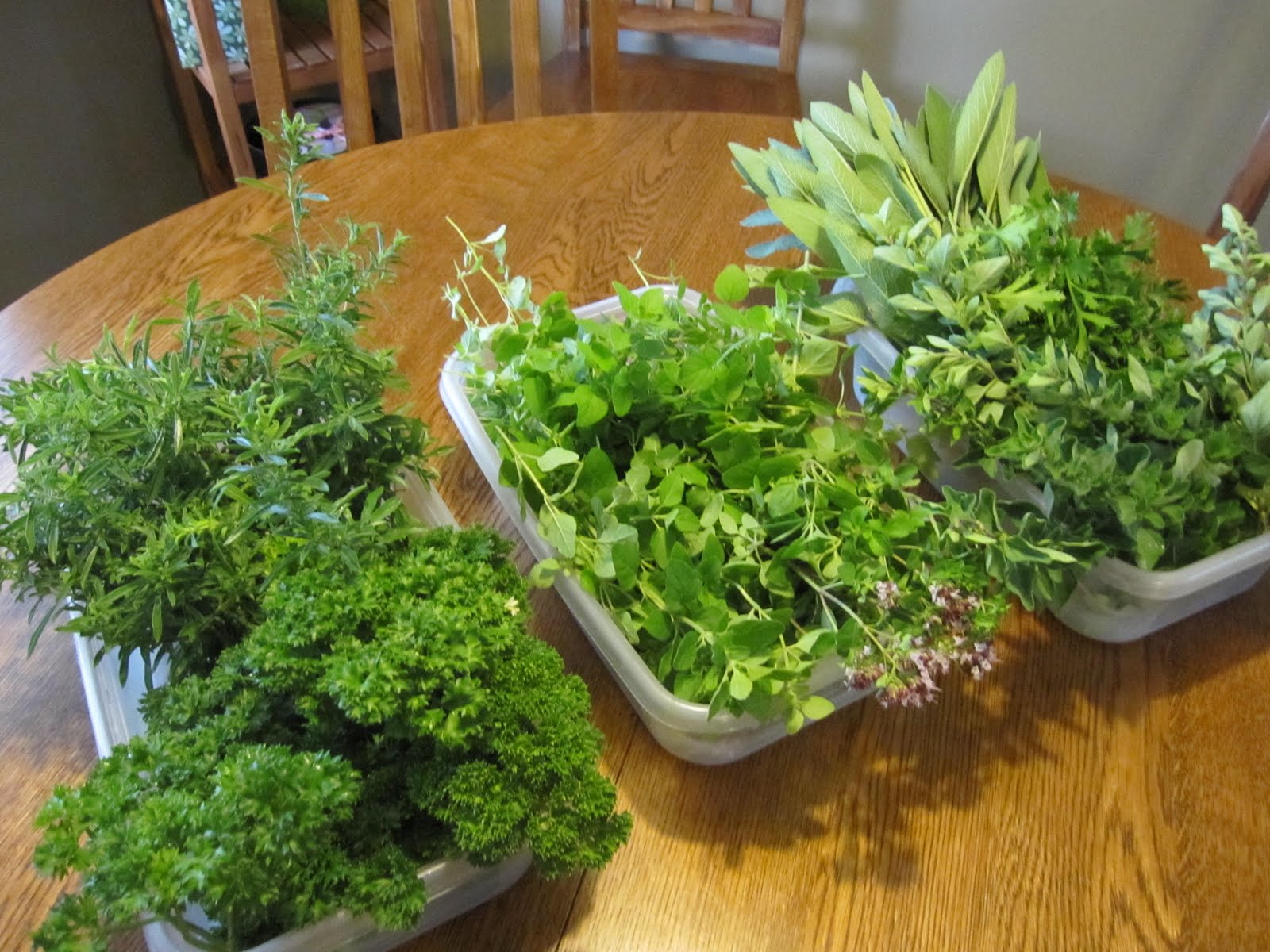 Serve it with a Smile Preserving Fresh Garden Herbs