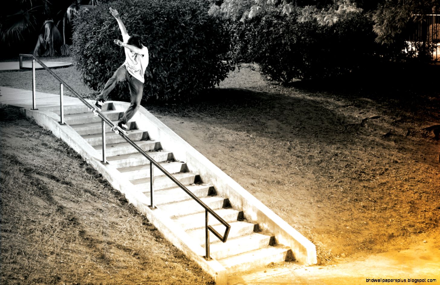 Sean Malto Skateboarding