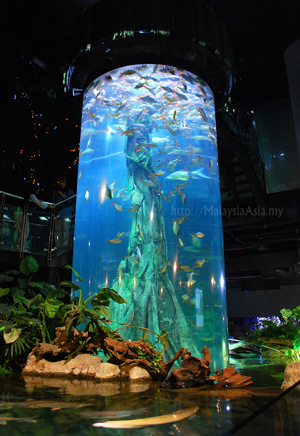 Aquaria KLCC Kuala Lumpur Picture