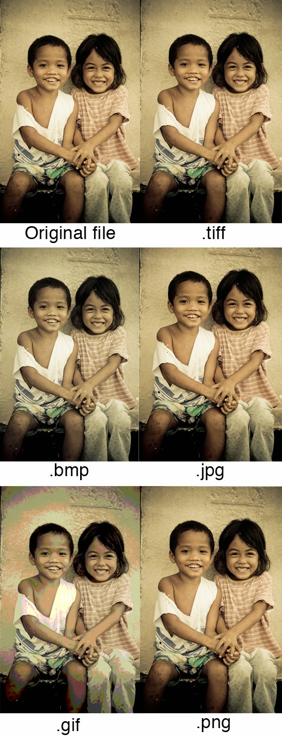 مقارنة بين أهم صيغ و إمتدادات الصور ( TIFF ,JPG, GIF, PNG ) 