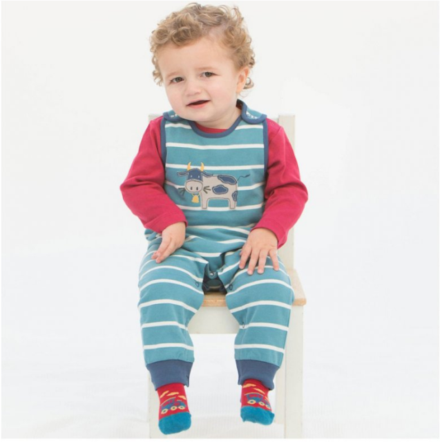 http://www.babysawyer.com/organic-baby-boy-clothes-super-soft-organic-baby-socks-3-pairs-kite