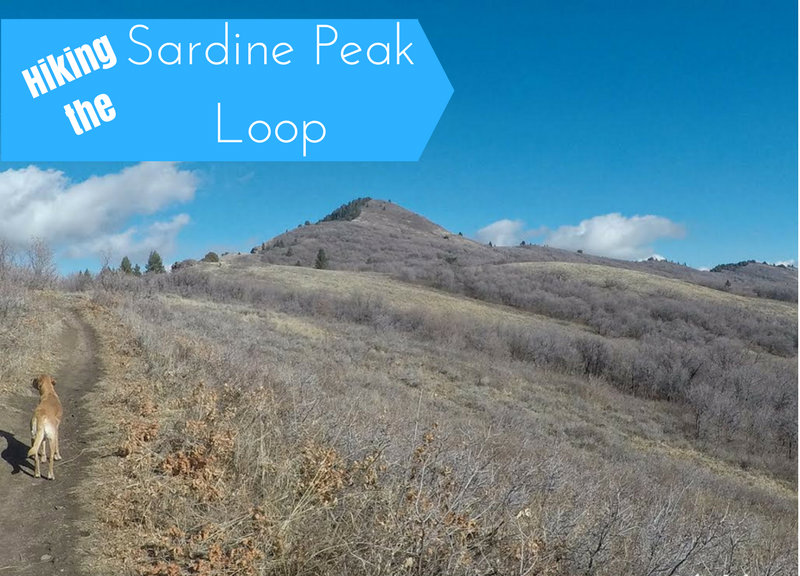 Hiking the Sardine Peak Loop, Snowbasin Girl on a Hike