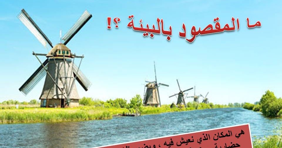 الألبوم التعليمي الدراسة بالصور الصف السادس ما المقصود بالبيئة دراسة بالصور