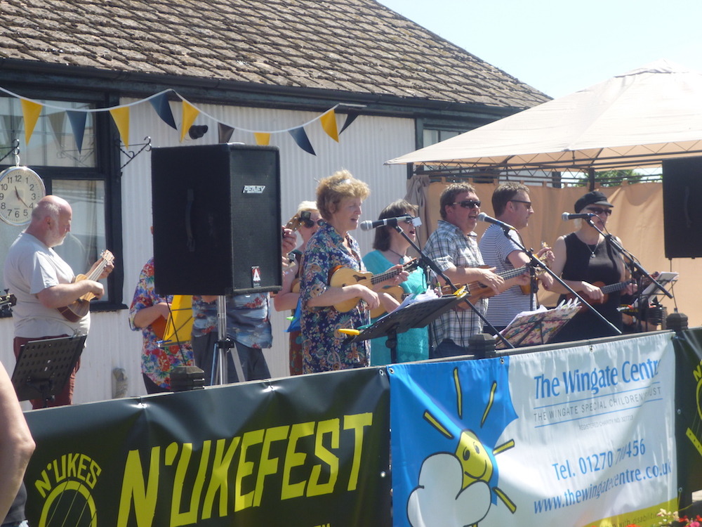 UK Ukulele Festival Overload?