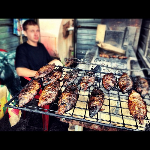 Behind the French Menu Carpe Carp, the Fish on French Menus. Smoked Carp, Fried Carp, Carp Behind the French Menu Carpe Carp, the Fish on French Menus. Smoked Carp, Fried Carp, Carp