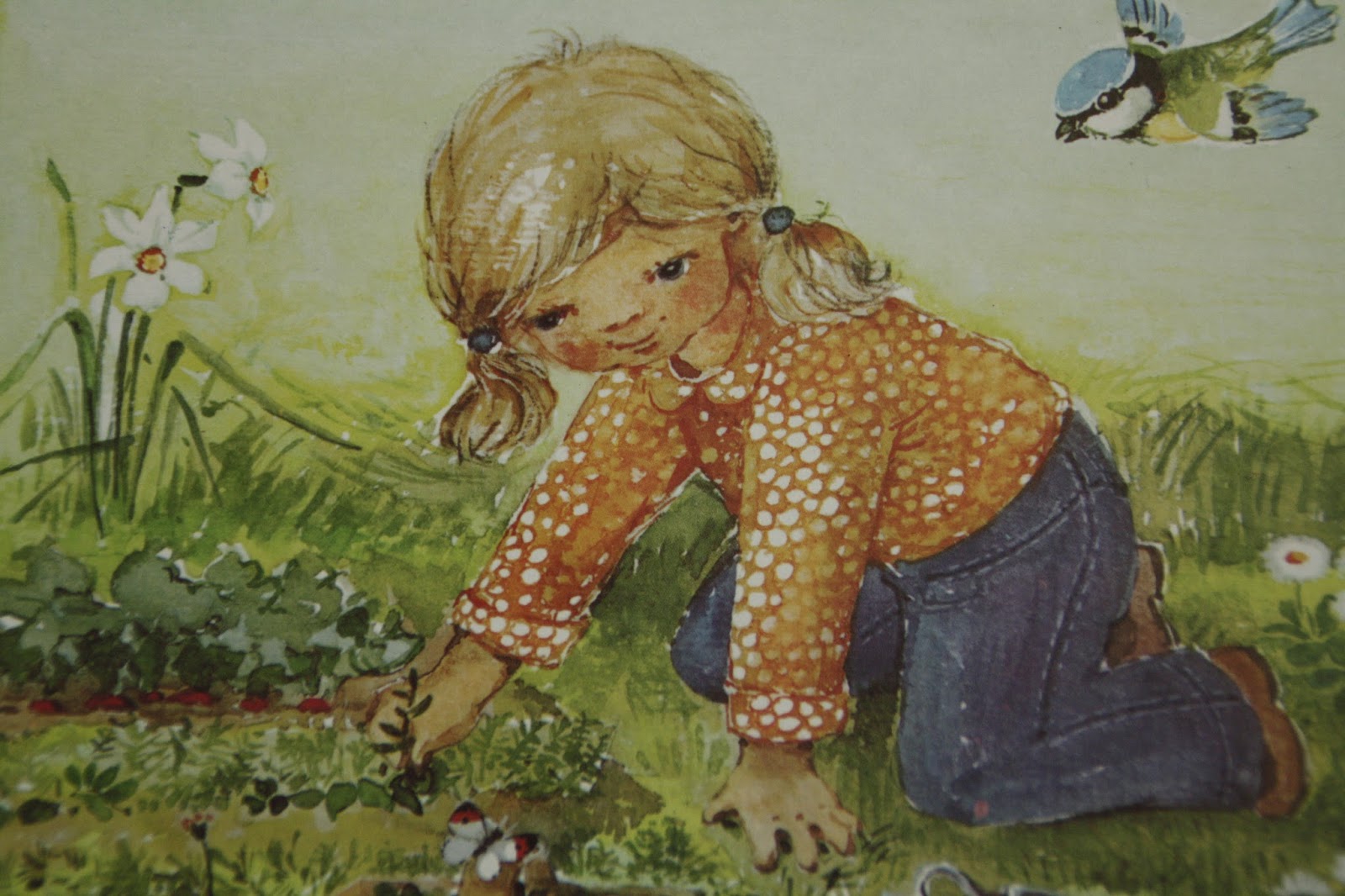 Leben zwischen Seifenblasen Im Garten steht ein Blümelein&hellip;.
