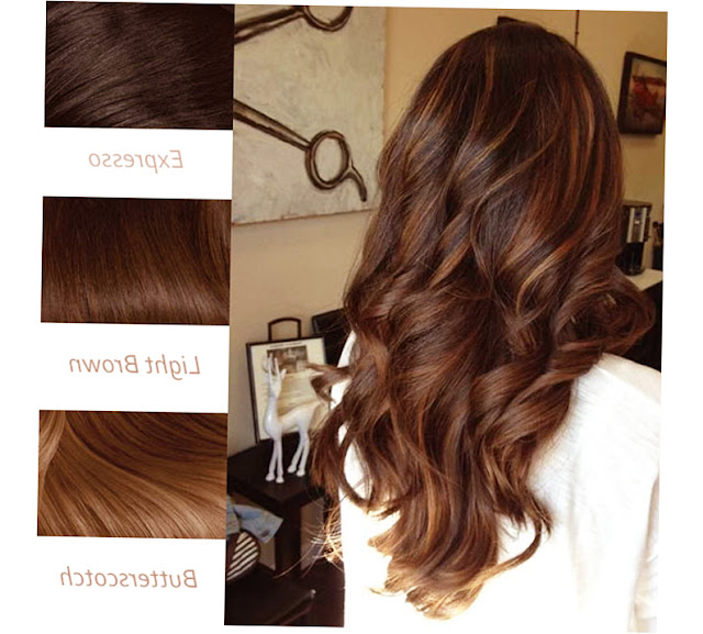 Balayage Highlights Dallas Picture