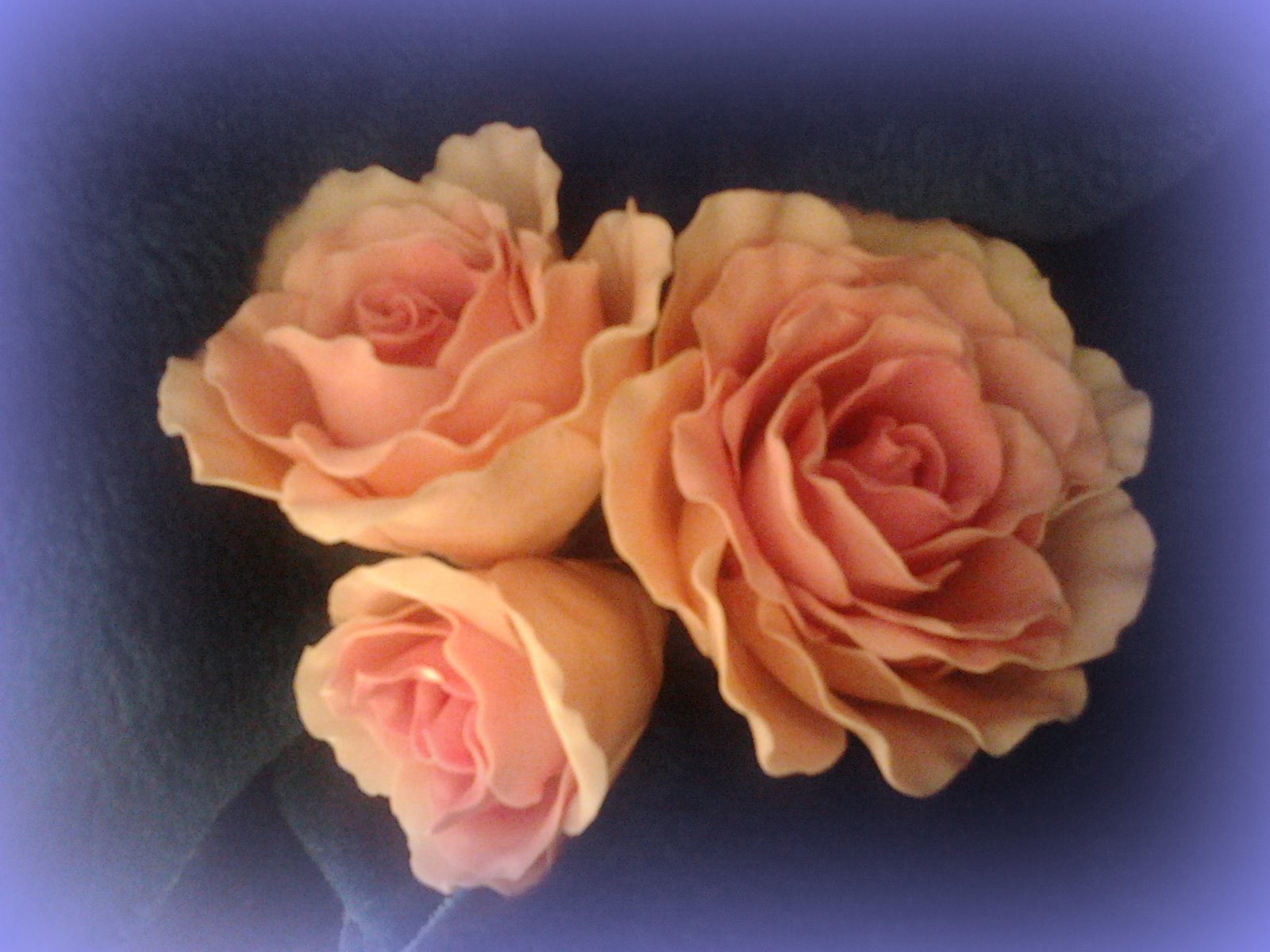 COLD PORCELAIN FLOWERS cold porcelain roses