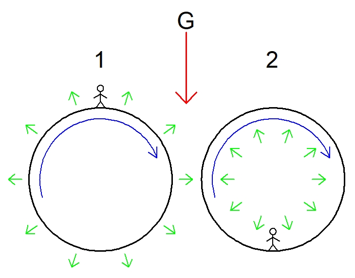 Gravity and centrifugal forces.