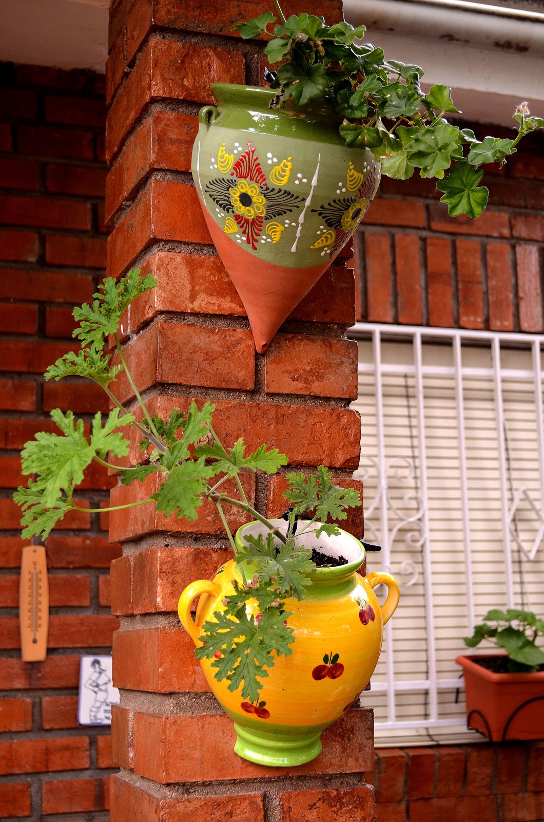 Trabajando en mi jardin