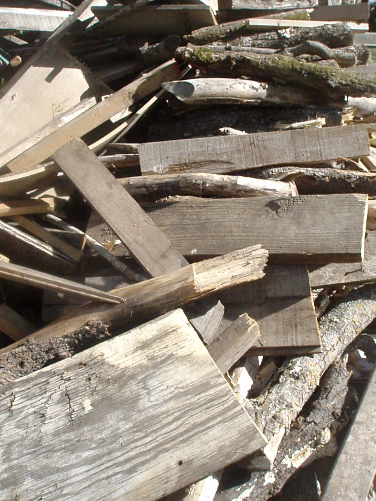 The Adventures of Johnny Northside: Hennepin County Jail Roster, June 2