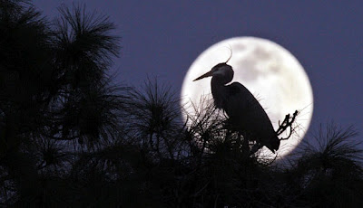 46+ Jawapan Teka Teki Ketika Kecil Pakai Yang Besar Background