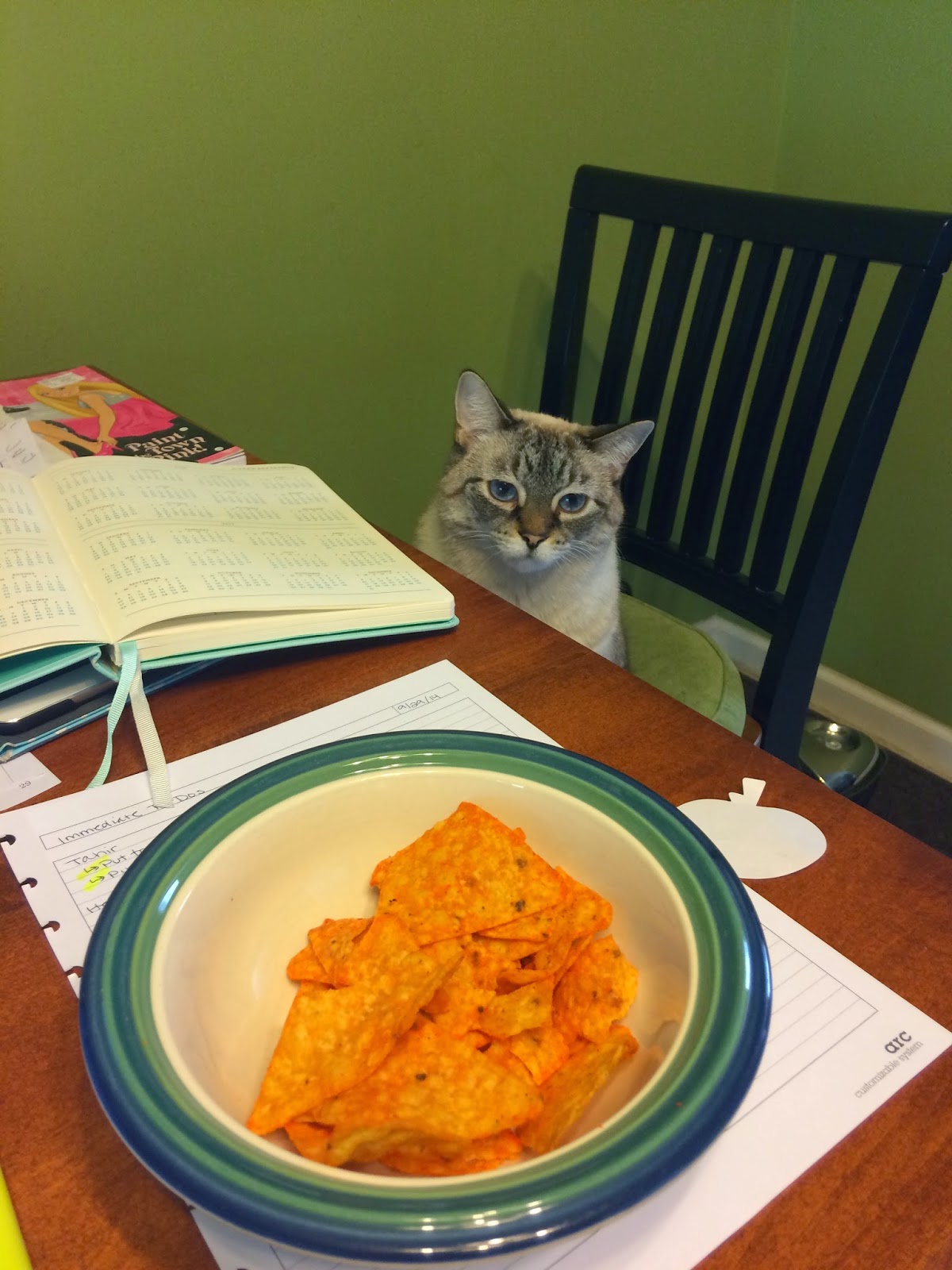 The Kids and the Kitties A cat on Prozac? No, I'm not surprised.