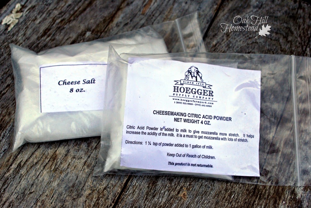 How to Make Ricotta Cheese Oak Hill Homestead