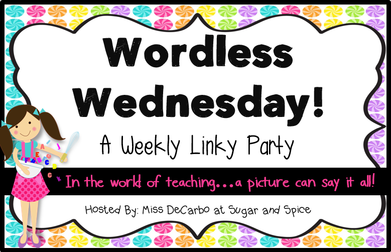  Wordless Wednesday
