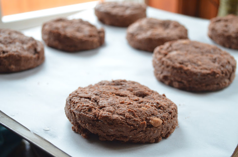 Chocolate Strawberry Shortcake Serena Bakes Simply From Scratch