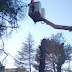 Ιωάννινα:Κλάδεμα δέντρων Κυκλοφοριακές ρυθμίσεις αύριο επί της Επικτήτου 