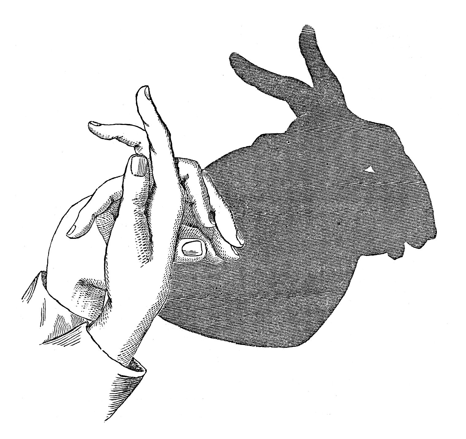 vintage rabbit clip art - photo #32