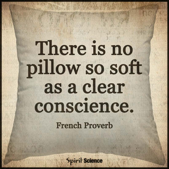 There Is No Pillow So Soft As A Clear Conscience 101 Quotes
