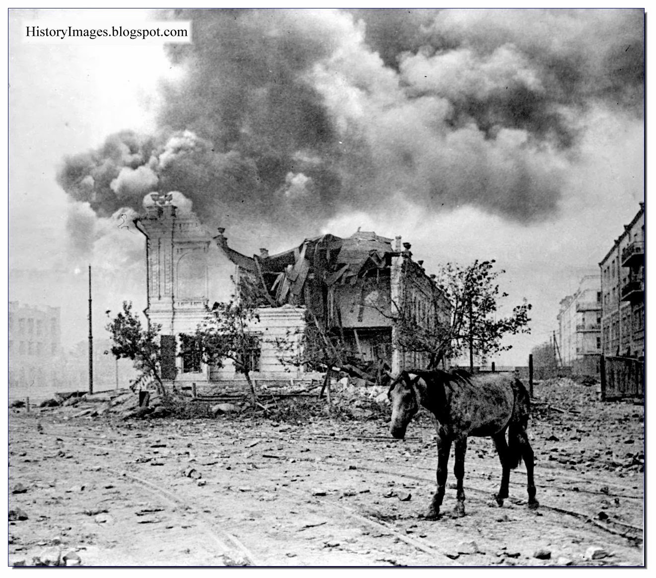 Horse Street Devastated Stalingrad 1942 Rare WW2 Image