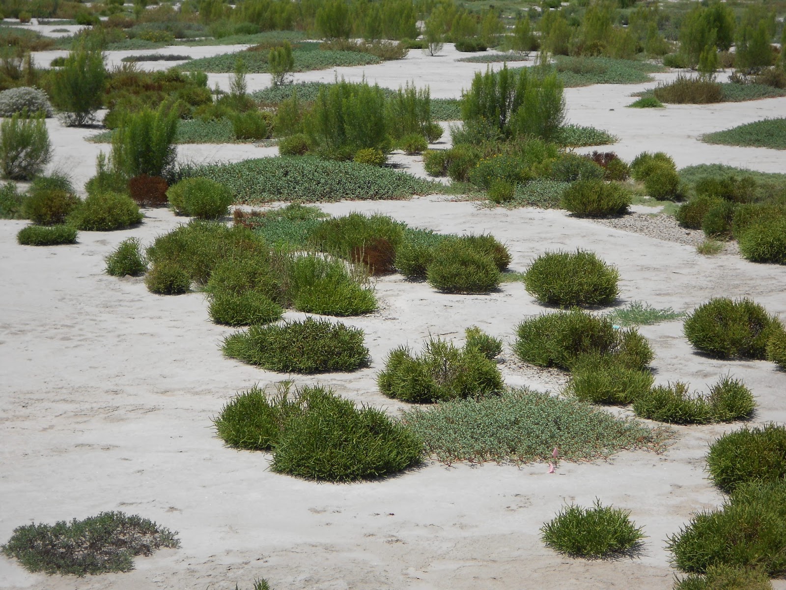 Exploring the Rio Grande Delta