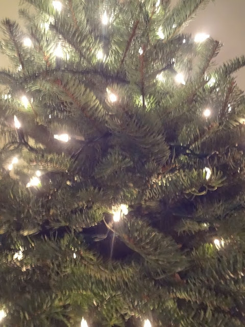 Close up of Christmas tree with white lights