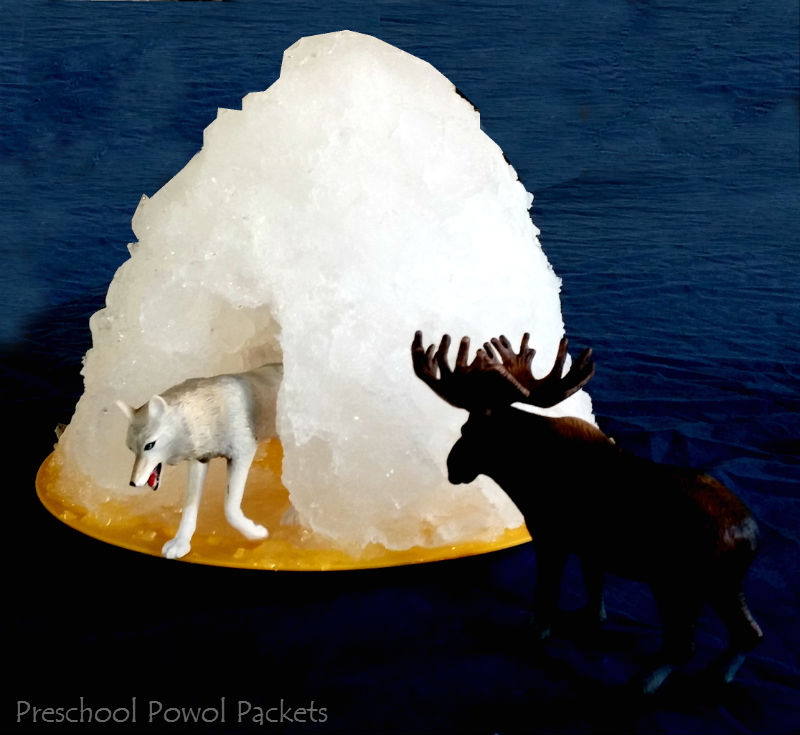 Ice Cube Igloo STEM Project! Preschool Powol Packets