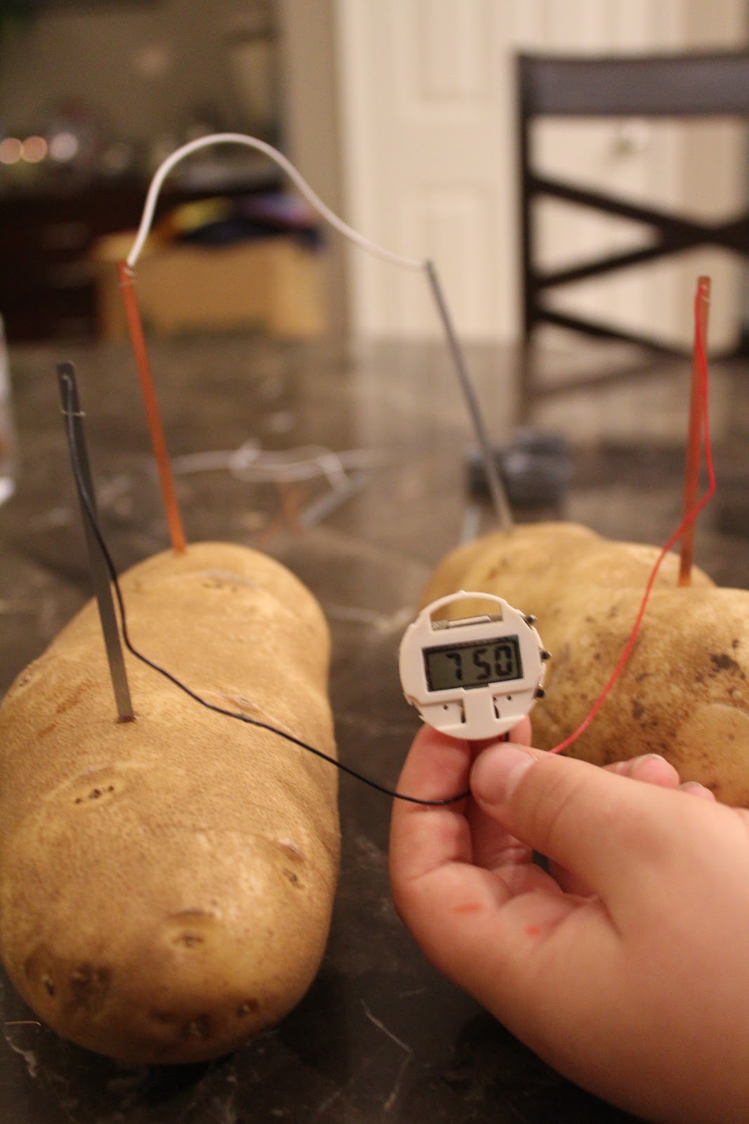 OC Mom Activities: Potato Powered Clock as Science Fair Project - #