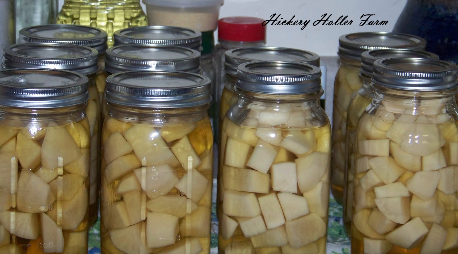 Hickery Holler Farm Canning Turnips