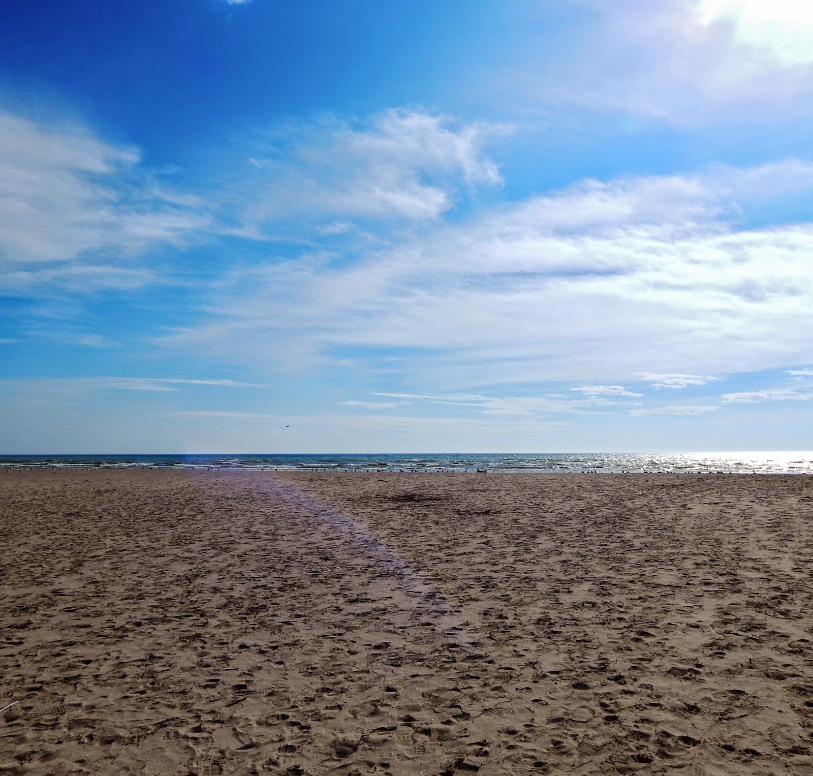 Patti Friday Cobourg Ontario Waterfront