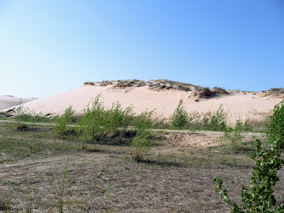Національний природний парк «Олешківські піски»