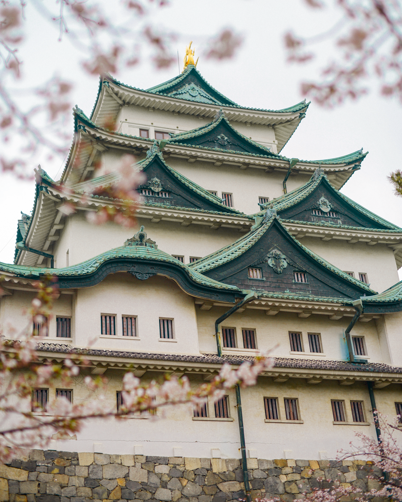 Osaka castle view with cherry blossoms, Osaka during the Spring