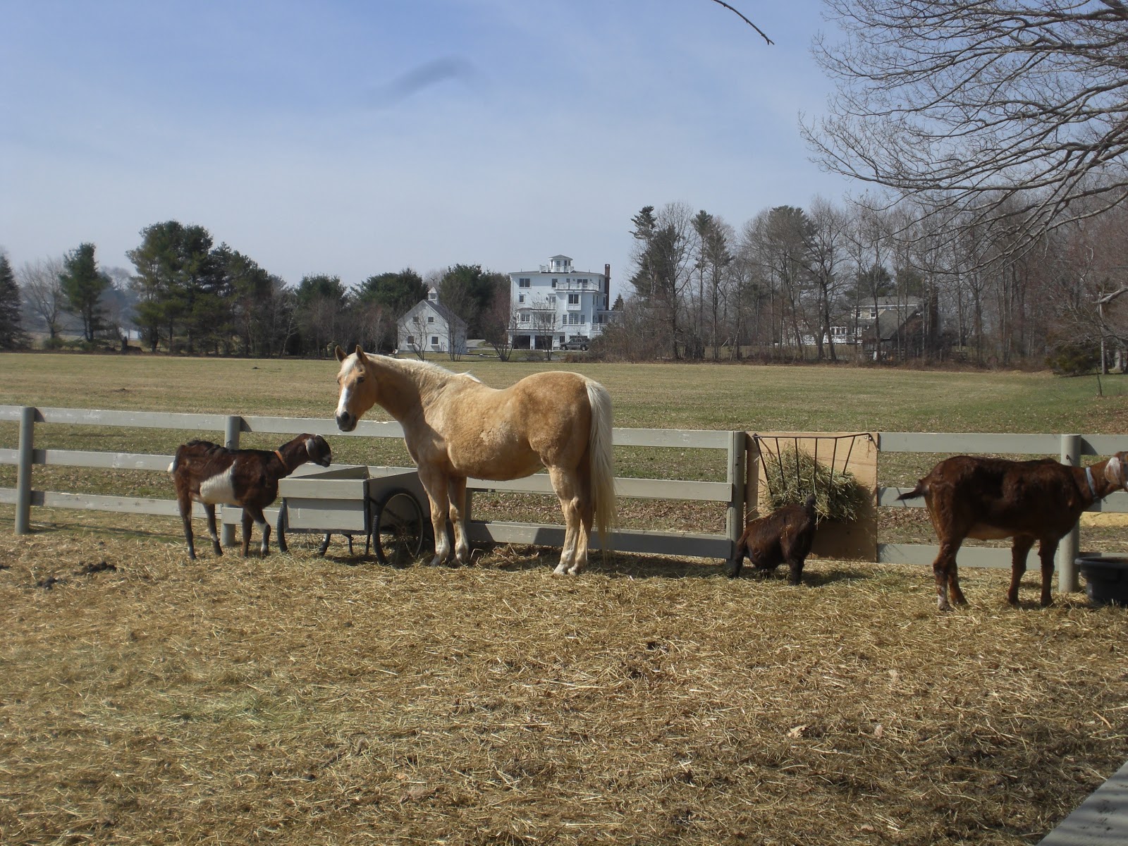 Breakheart Trail Running Bay Circuit Trail Run The Journey Begins