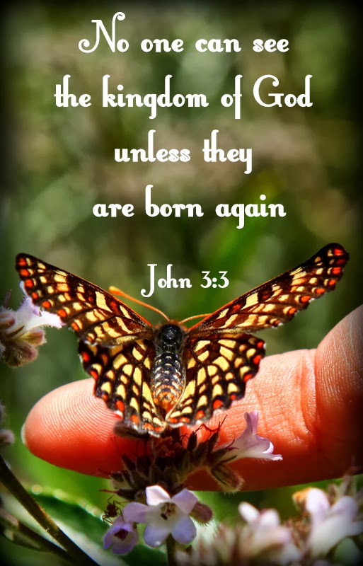 No one can see the kingdom of God unless they are born again
