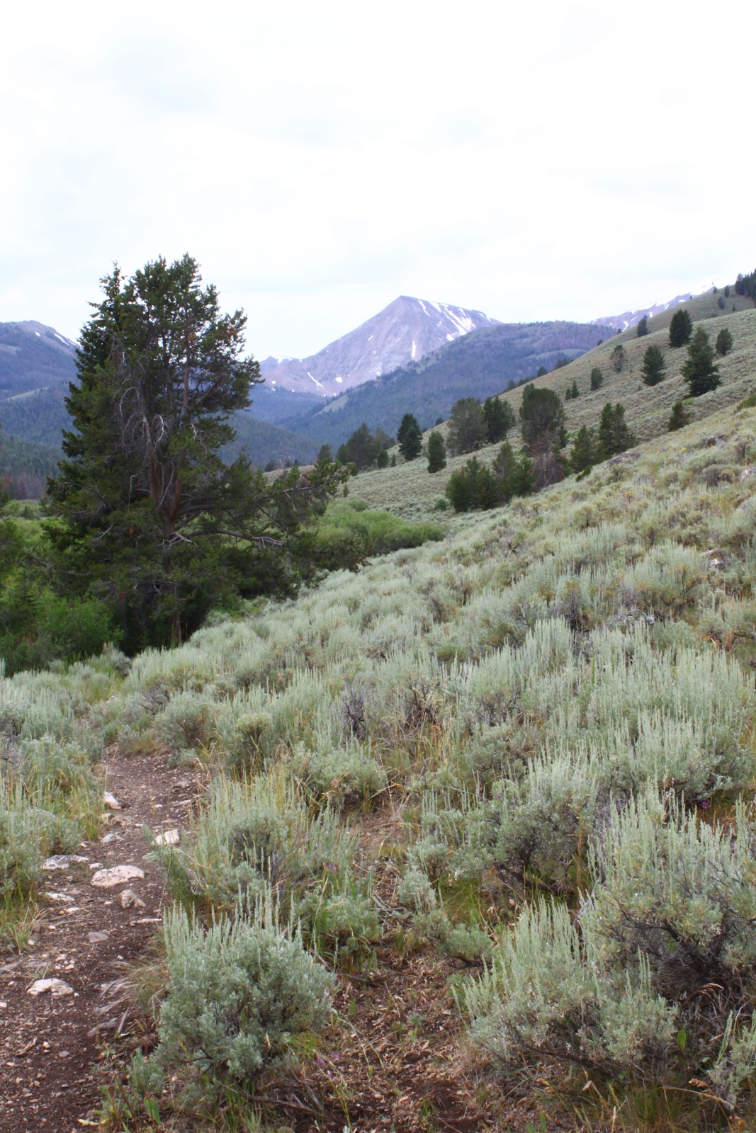 Lost Trails Big Timber Creek