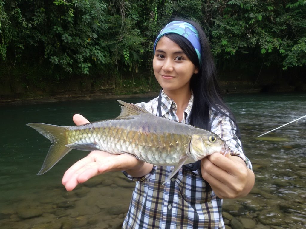 Kenali Senarai Ikan Paling Mahal Di Malaysia MYNewsVibes jpg (1024x768)