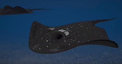 Το υπερόπλο «φονικό σαλάχι» και η Τουρκική προπαγάνδα. ΑΜΑ ΤΟ ΔΕΙΤΕ ΝΑ ΜΟΥ ΤΟ ΠΕΙΤΕ. ΤΟ 2023 ΚΑΙ ΒΛΕΠΟΥΜΕ ΑΜΑ ΒΟΗΘΗΣΕΙ ΤΟ ΣΤΑΡ ΤΡΕΚ . ΜΗΝ ΑΚΟΥΤΕ ΧΑΖΟΜΑΡΕΣ