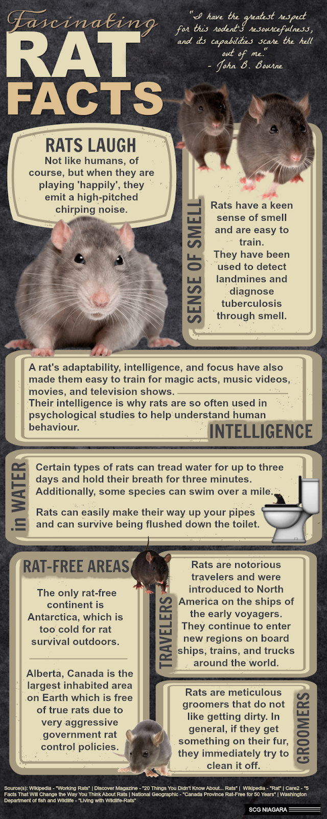 SCG Niagara INFOGRAPHIC Fascinating RAT Facts