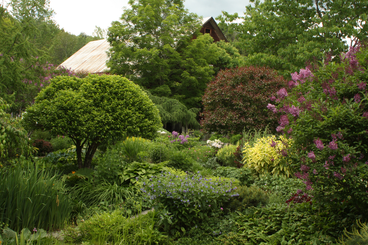 paradis express Cady's Fall Nursery in Vermont