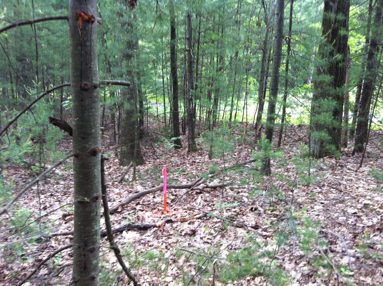 Maple Acres Farm June 5, 2011