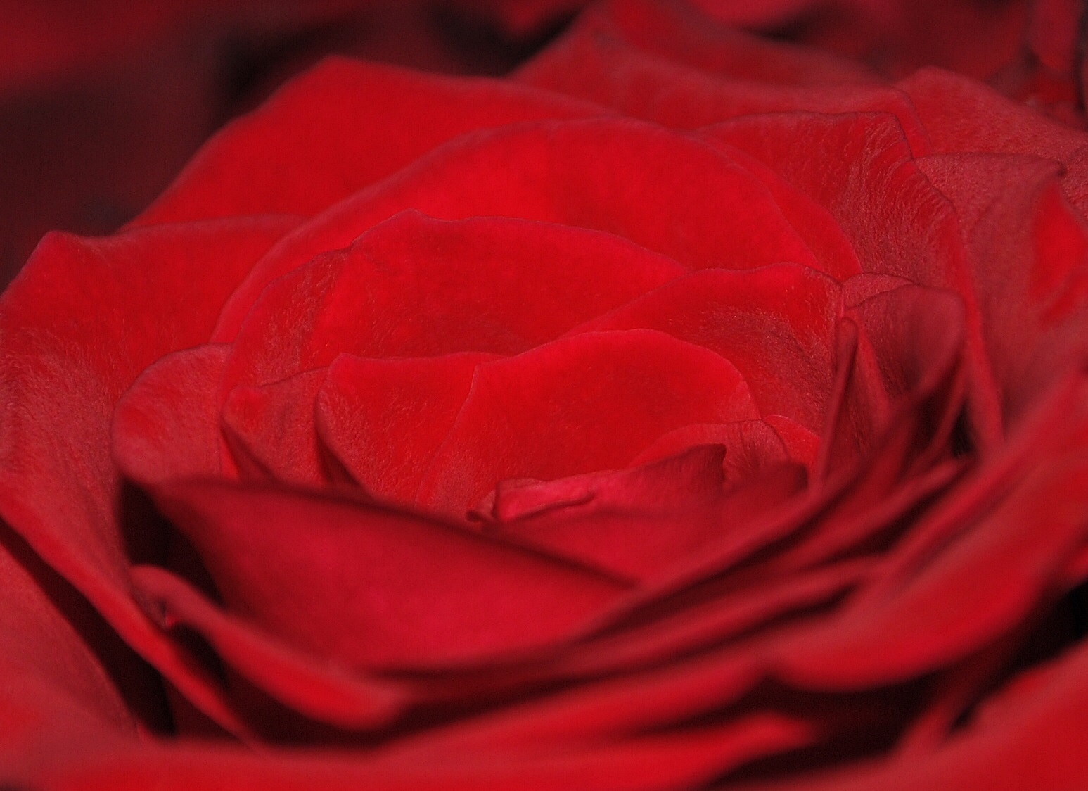 Anettes Fotoblogg