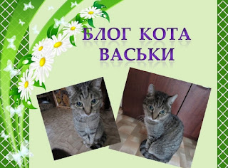 Блог Кота Васьки БКВ