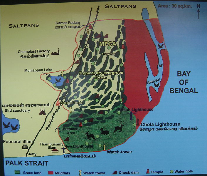 Tamilnadu Tourism Point Calimere Wildlife and Bird Sanctuary