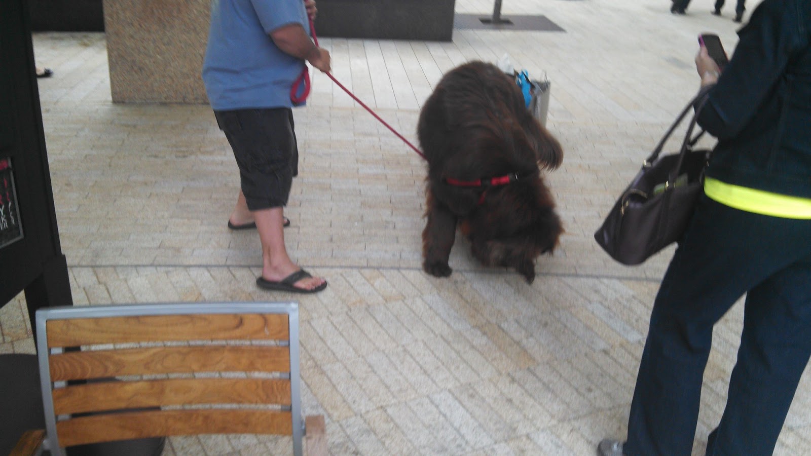 Life, Love....and Lunch Amusements at City Creek mall.