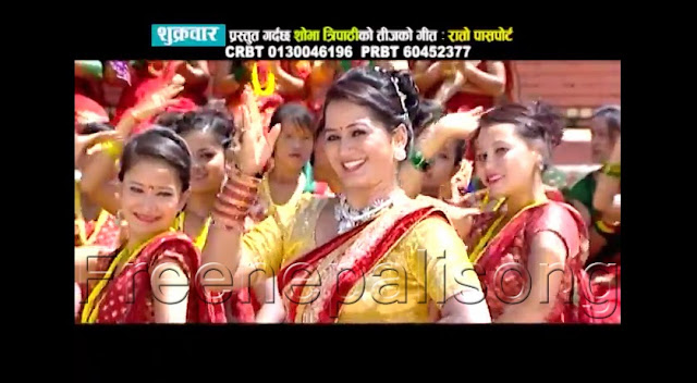 Nepali Hd Video Collection New Nepali Video Online Watch New Nepali Lok Dohori Song 2070