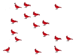 Animation Bundle: Animated Cardinals Chirping and Spreading Love of